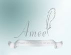 logo Ameel